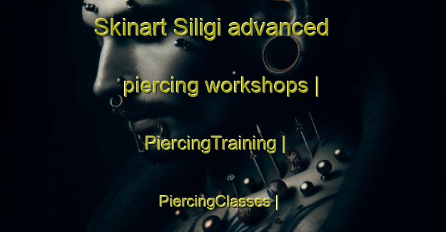 Skinart Siligi advanced piercing workshops | PiercingTraining | PiercingClasses | SkinartTraining-the Democratic Republic of the Congo